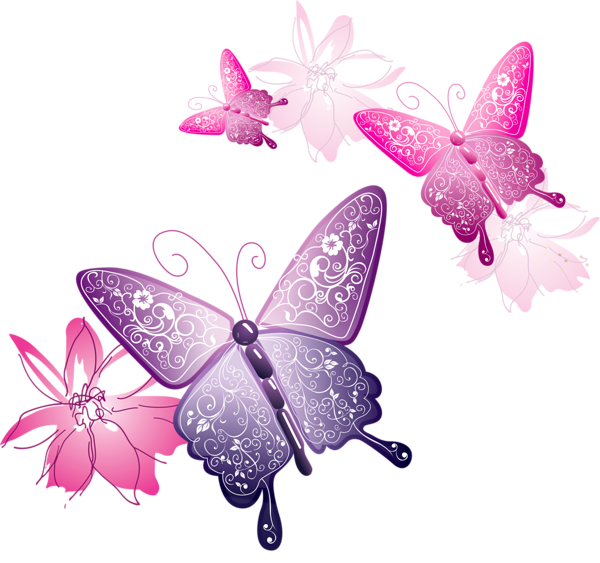 Mite Hummingbird Pink Cartoons Butterfly PNG