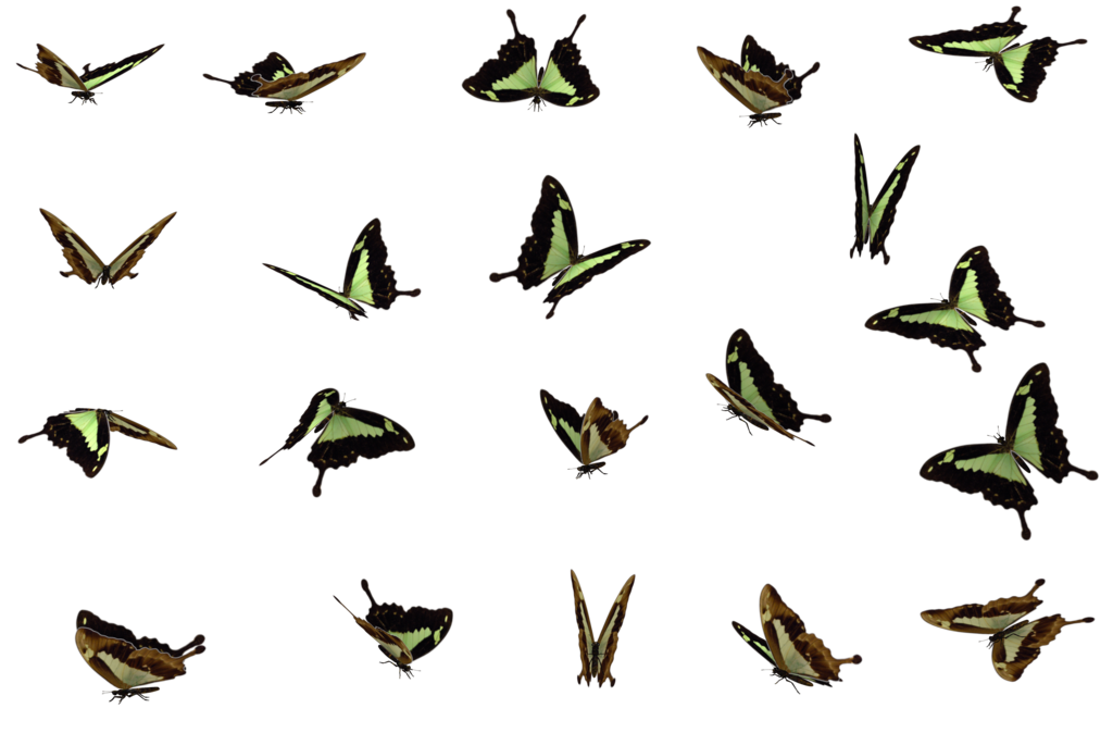 Caterpillar Jungle Swarm Insect Dragonfly PNG