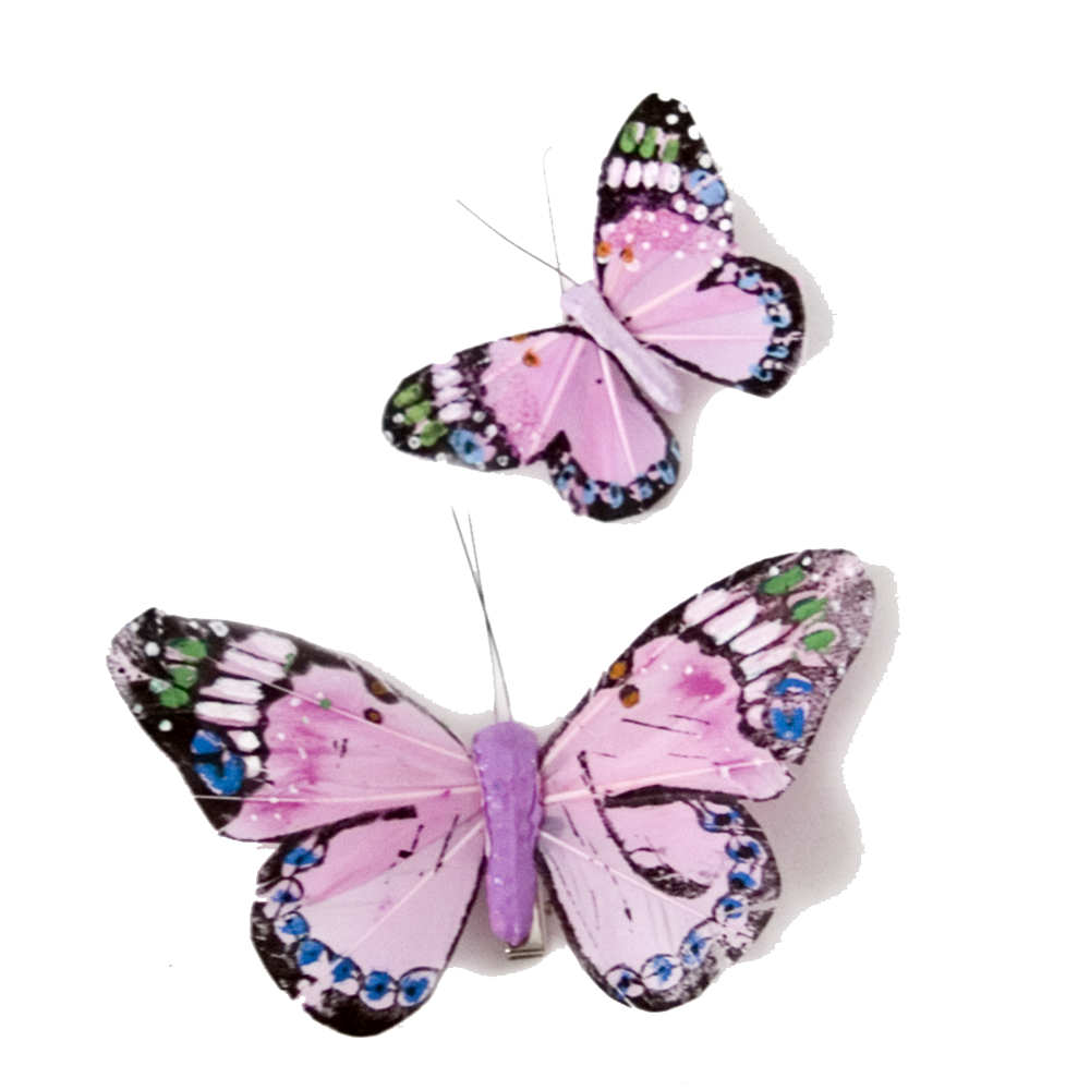 Garden Flag Butterfly Decomposing Pink PNG