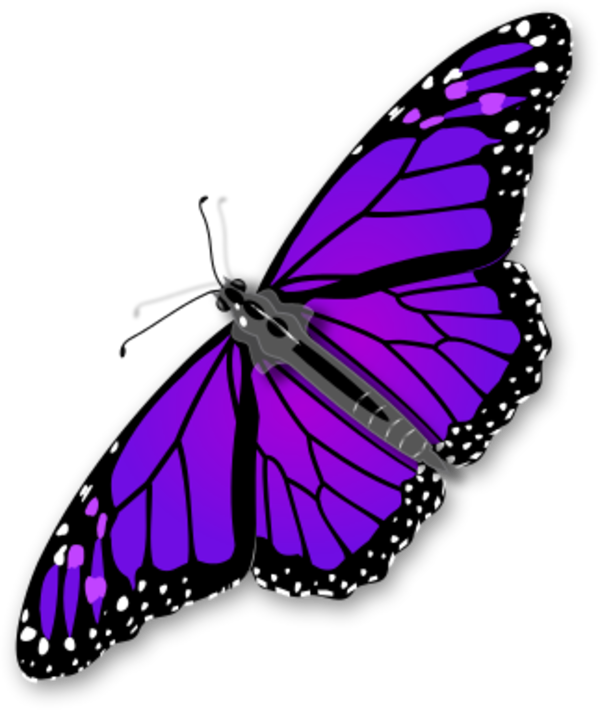 Like Purple Swallowtail Love Butterfly PNG