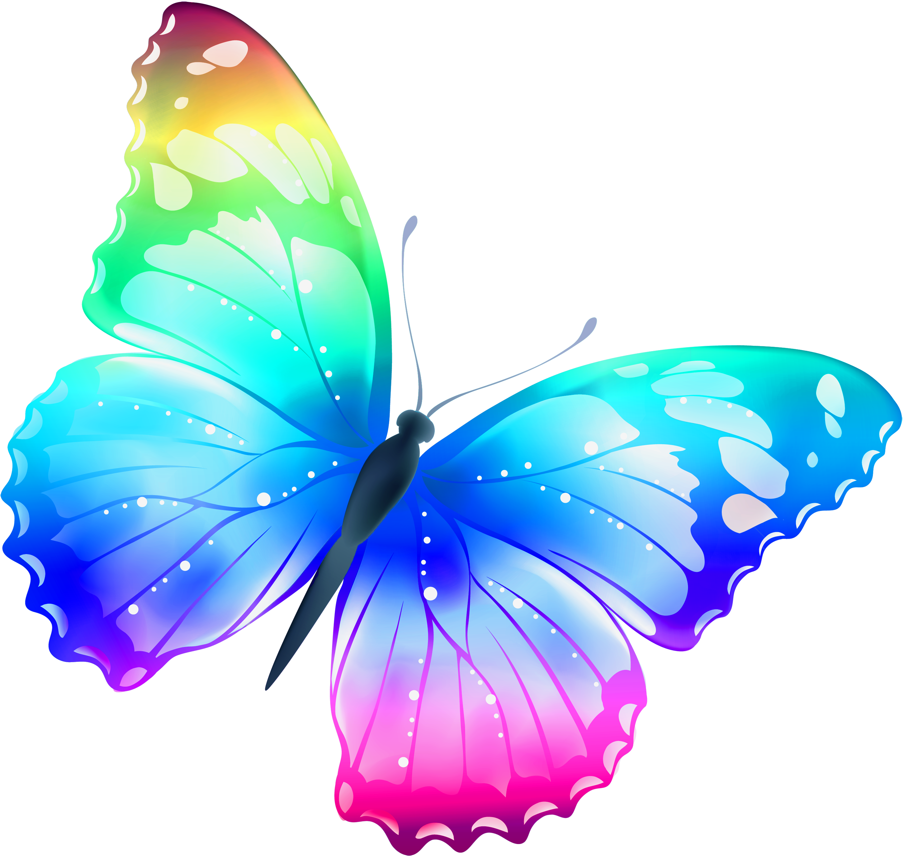 Tie File Nature Insect Butterflies PNG