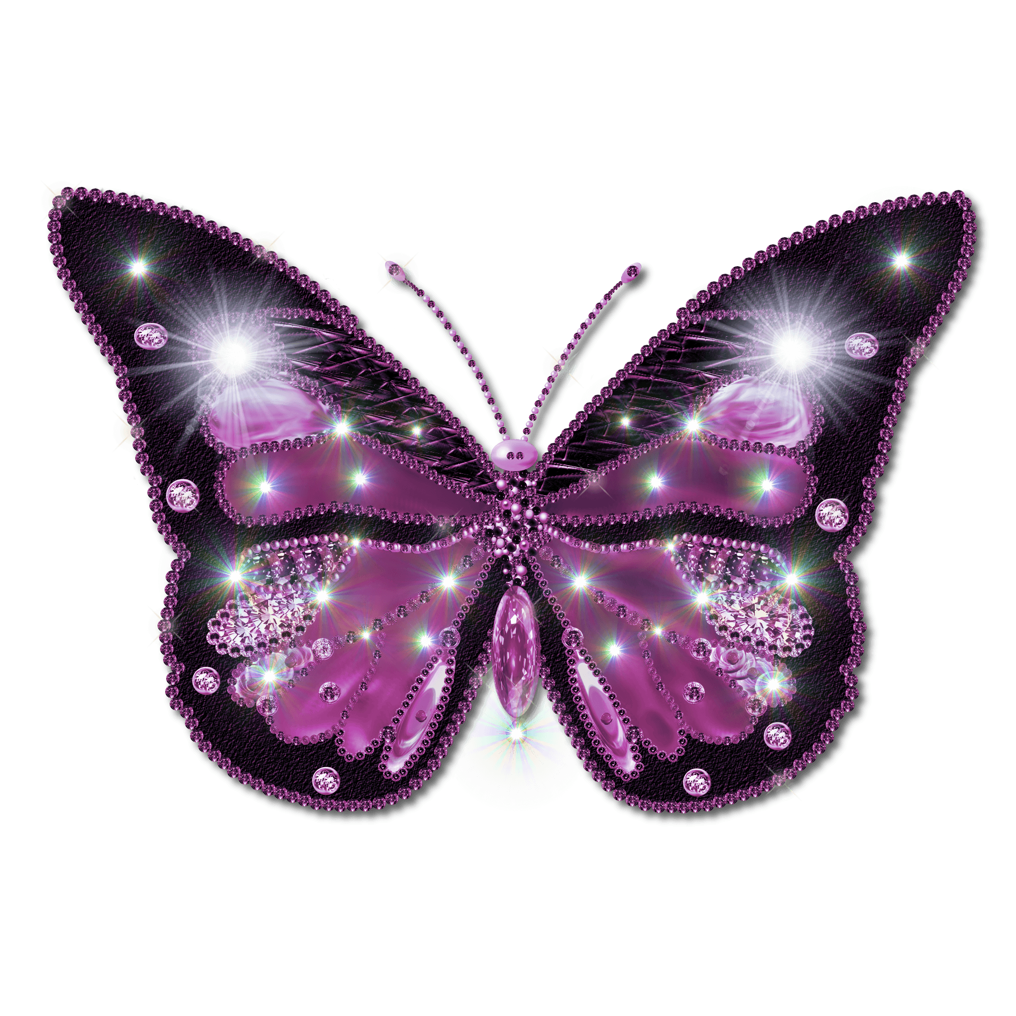 Dragonflies Believe Butterfly Wheel Positive PNG