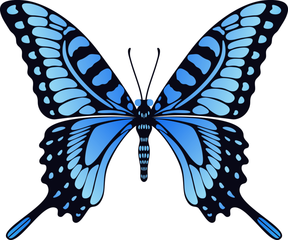 Butterfly Moth Blue Photography Wheel PNG
