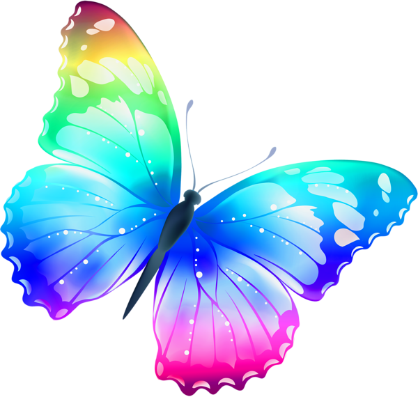 Flag Butterfly Wing Colorful Beautiful PNG