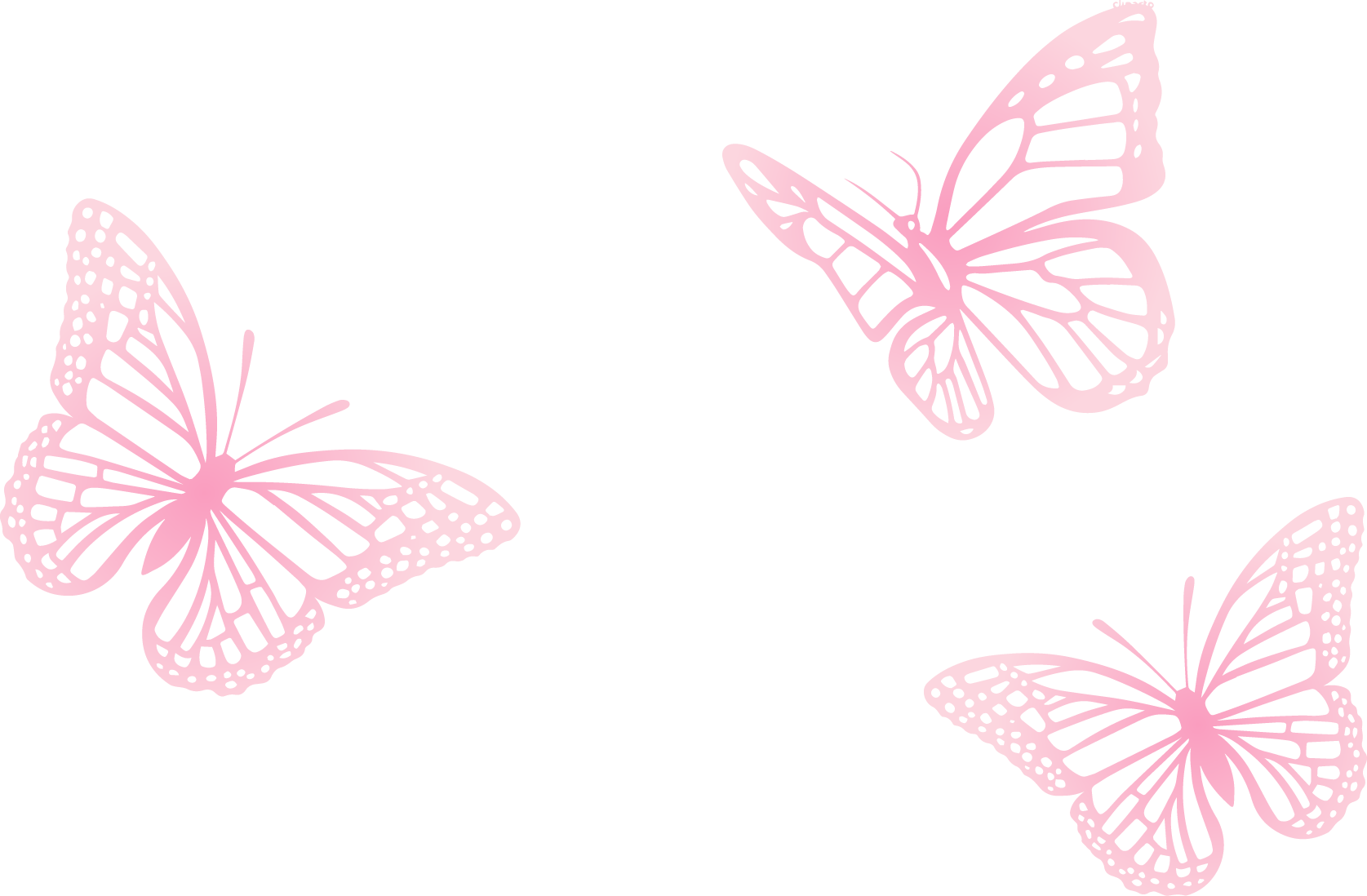 Vector Butterfly Pink Bee Moth PNG