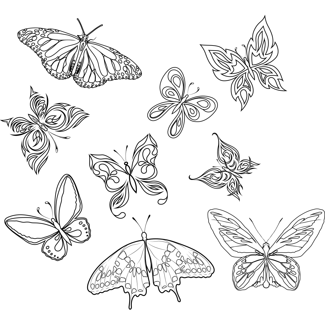 Art Butterfly Moth Leaf Insects PNG