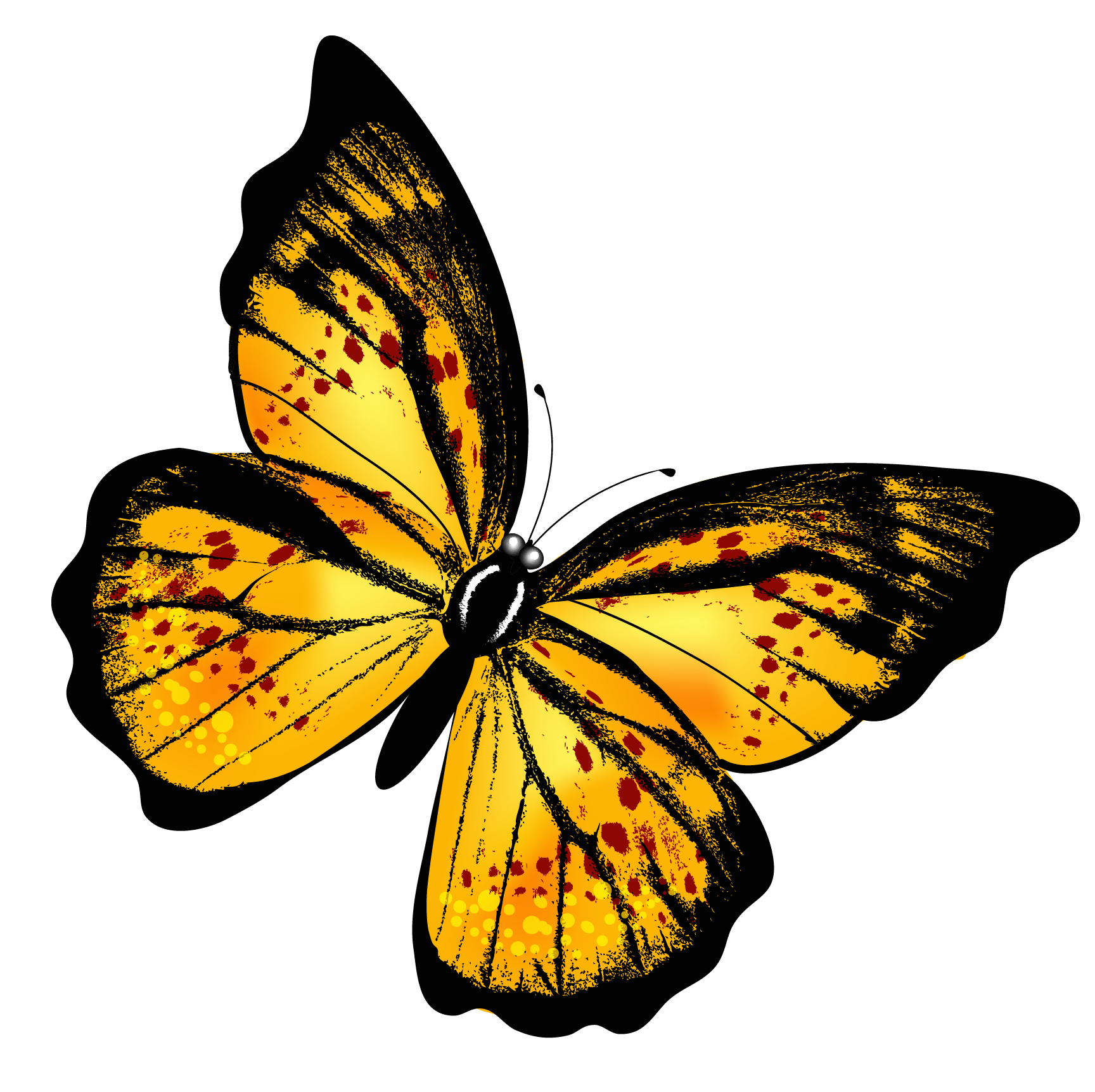 Cartoons Butterfly Walking Backyard Leaf PNG