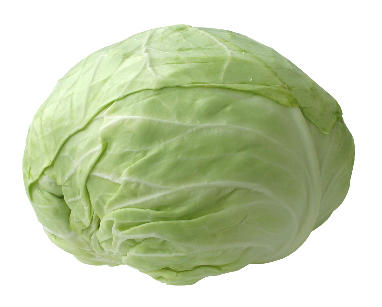 Green Cabbage Dinnertime Transformation Grains PNG
