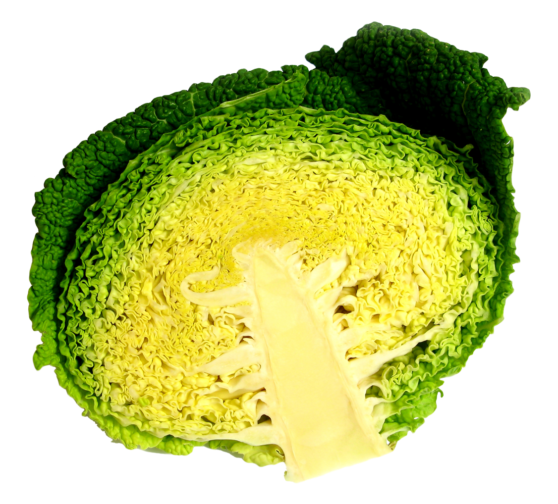 Sauerkraut Spinach Delight Cabbage Pelf PNG