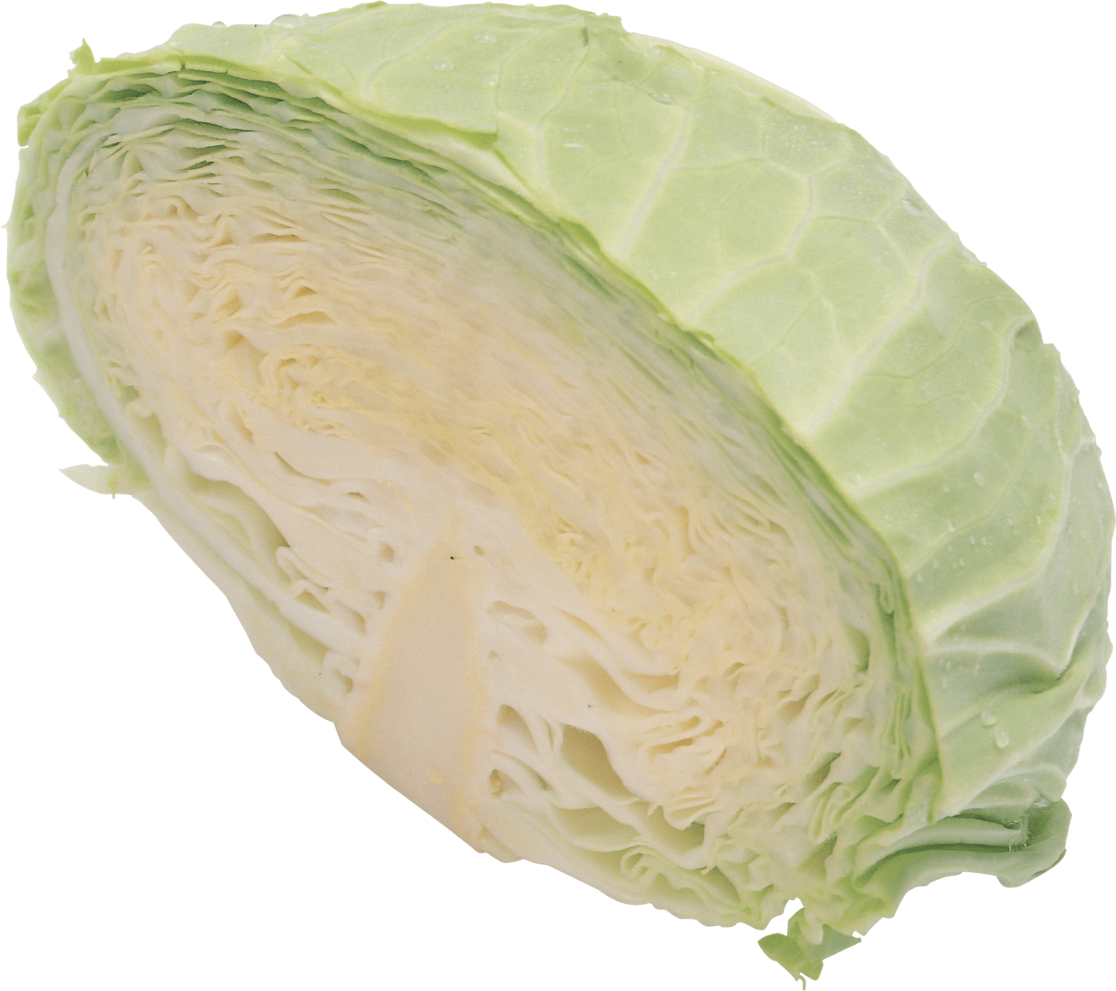 Sweet Pinch Cabbage Recovery Kale PNG