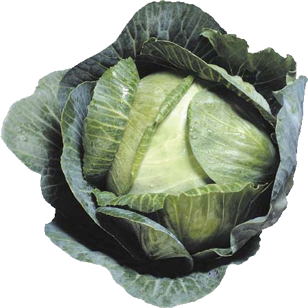 Purloin Bread Cabbage Cereal Snarf PNG
