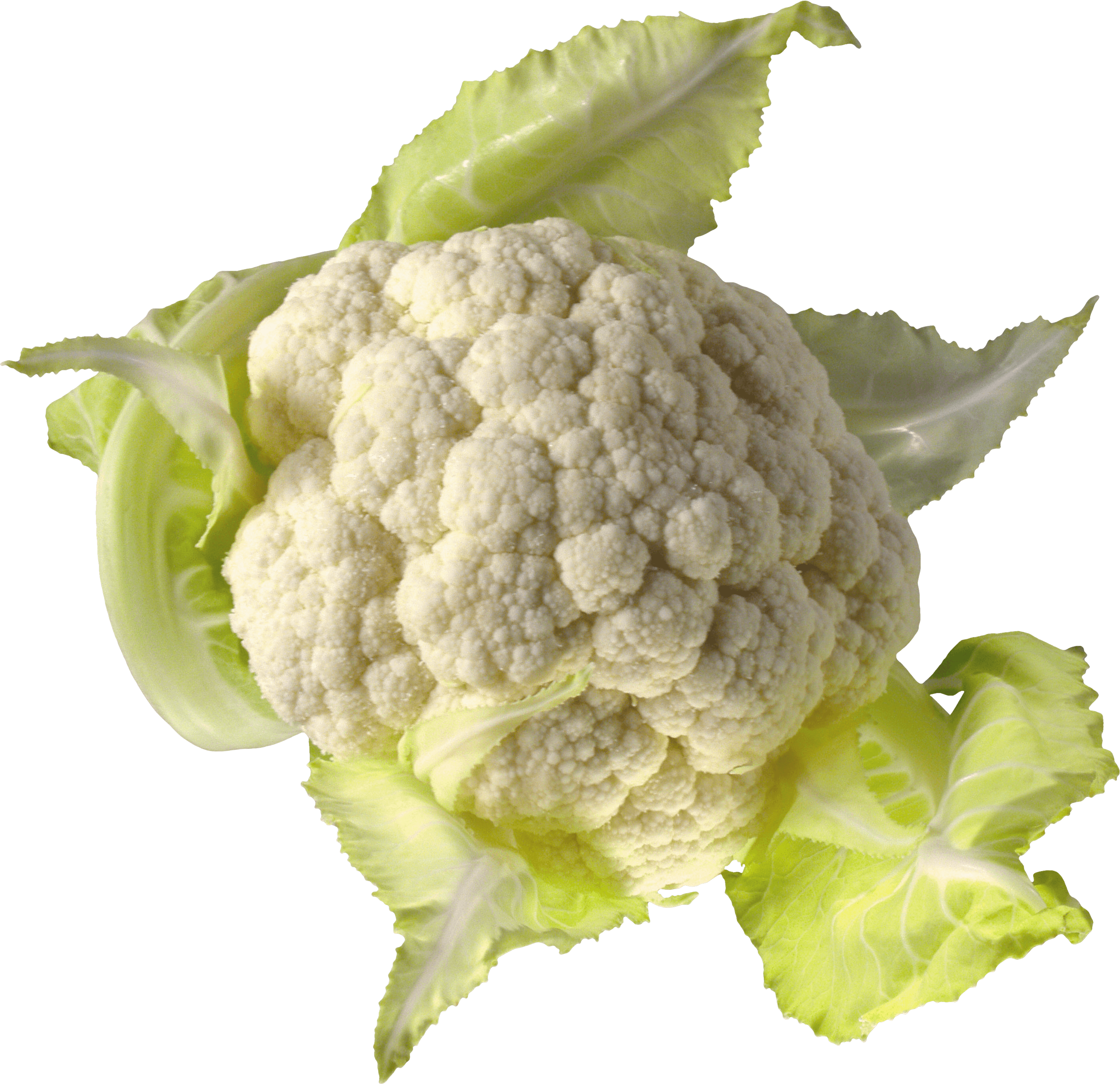Cauliflower Pilfer Muscles Abstract Loot PNG
