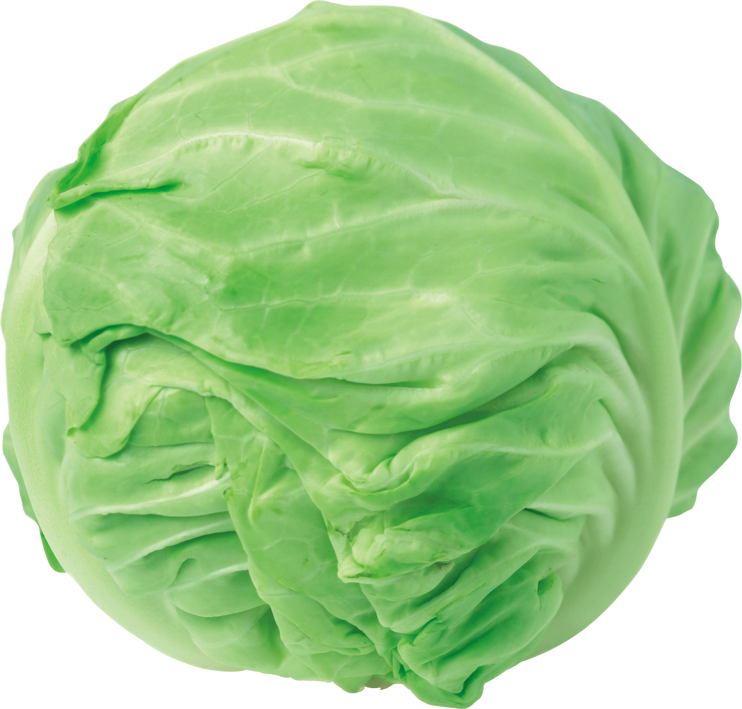 Dumpling Cabbage Swipe Entrepreneur Fit PNG
