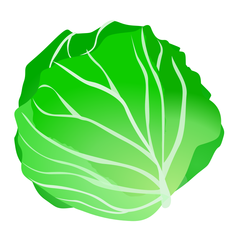 Cabbage Dumpling Pinch Cereal Recovery PNG
