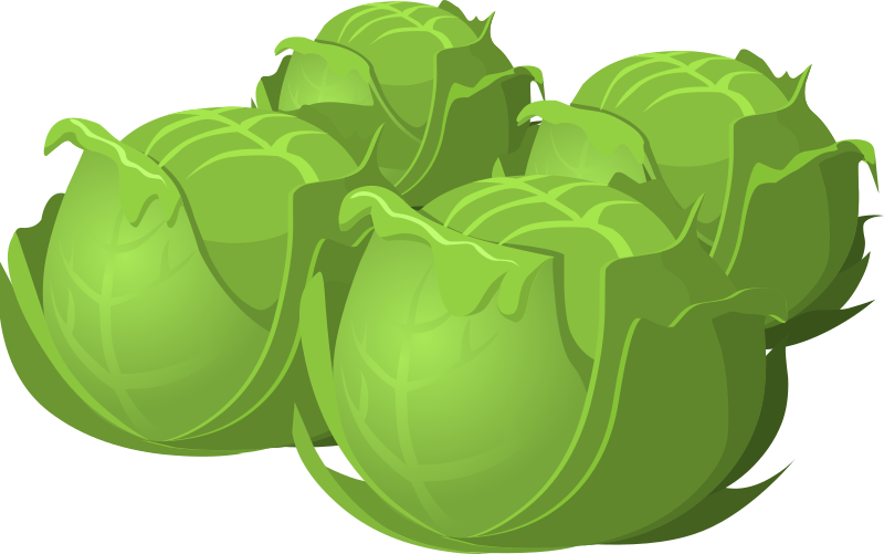Cabbage Swipe Maggot Broccoli Sneak PNG