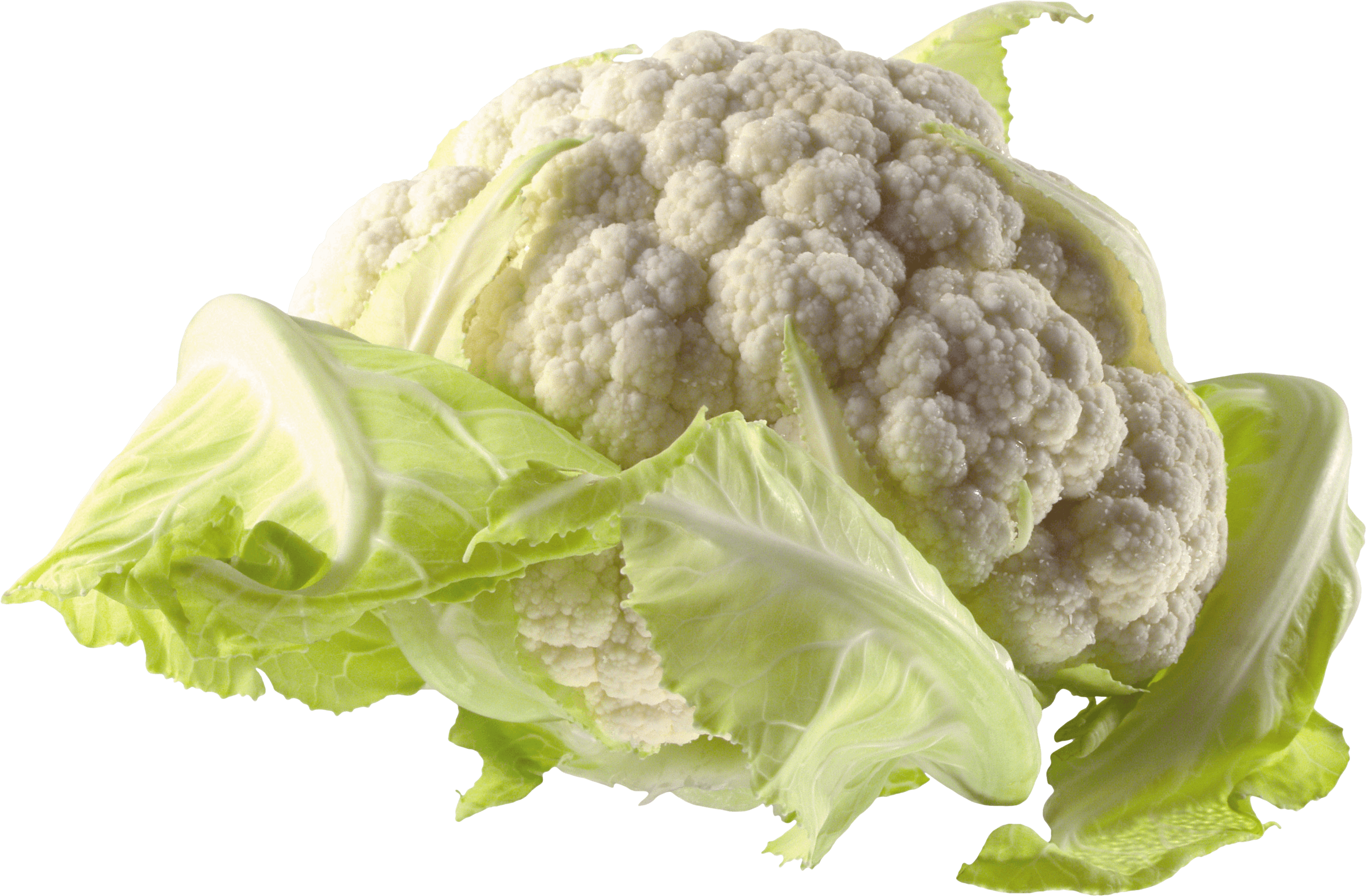 Cauliflower Lucre Swipe Muscles Coleslaw PNG