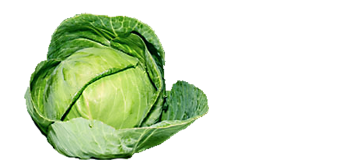 Pelf Organic Cabbage Green Sneak PNG
