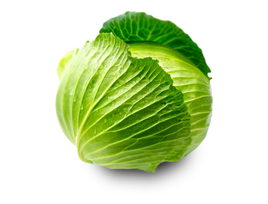 Swipe Cabbage Lettuce Green Cuisine PNG