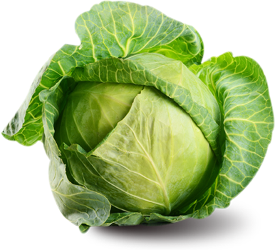 Snarf Lettuce Sprouts Shekels Cabbage PNG
