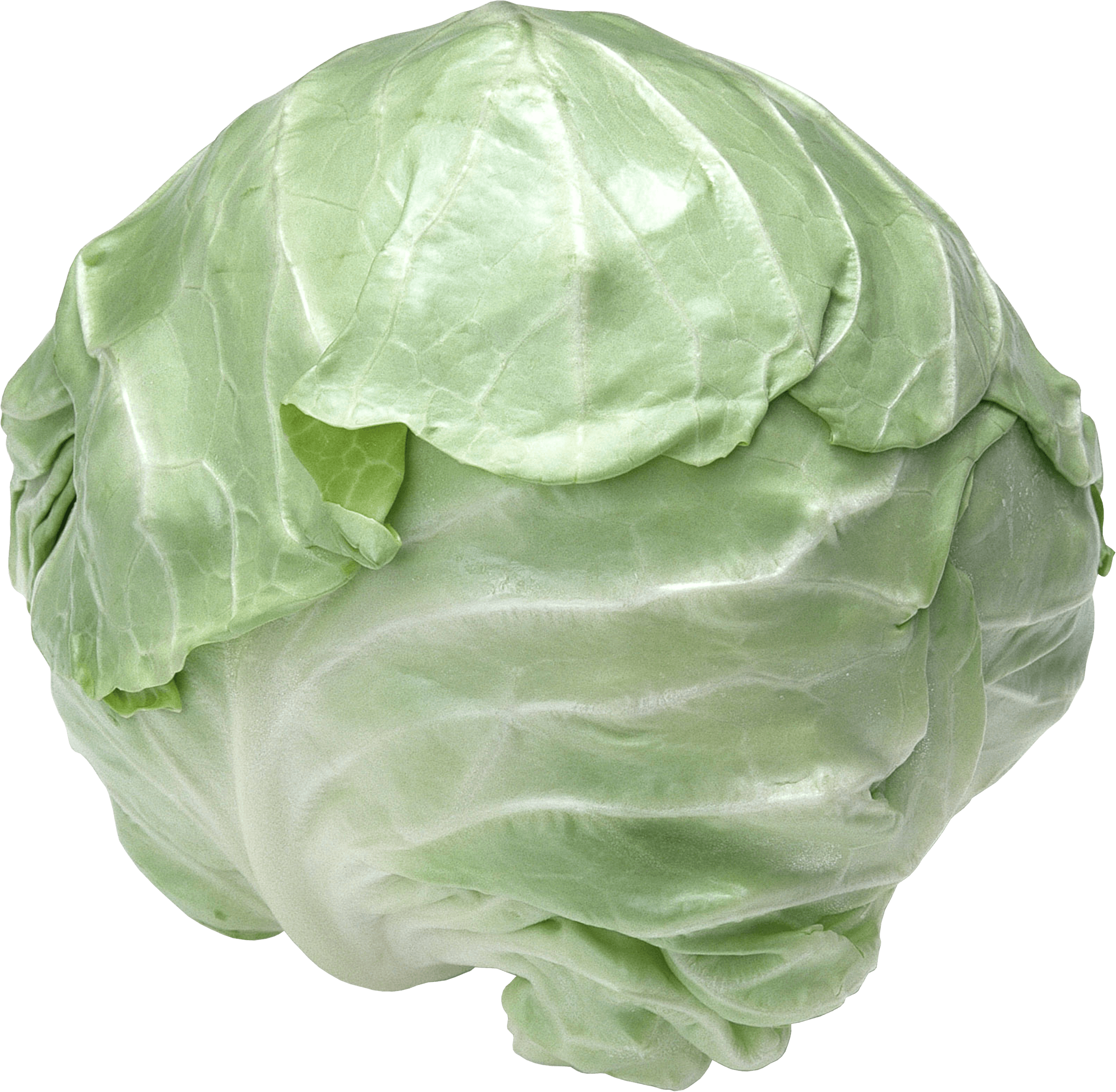 Luxury Cauliflower Purloin Athletes Cabbage PNG