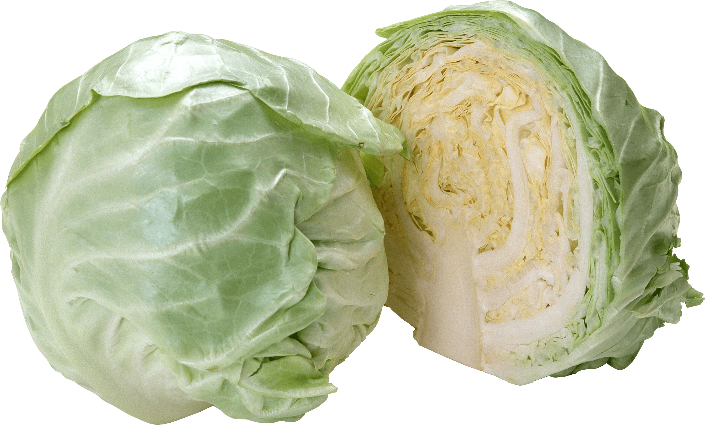 Cabbage Snarf Pinch Vegetable Skunk PNG