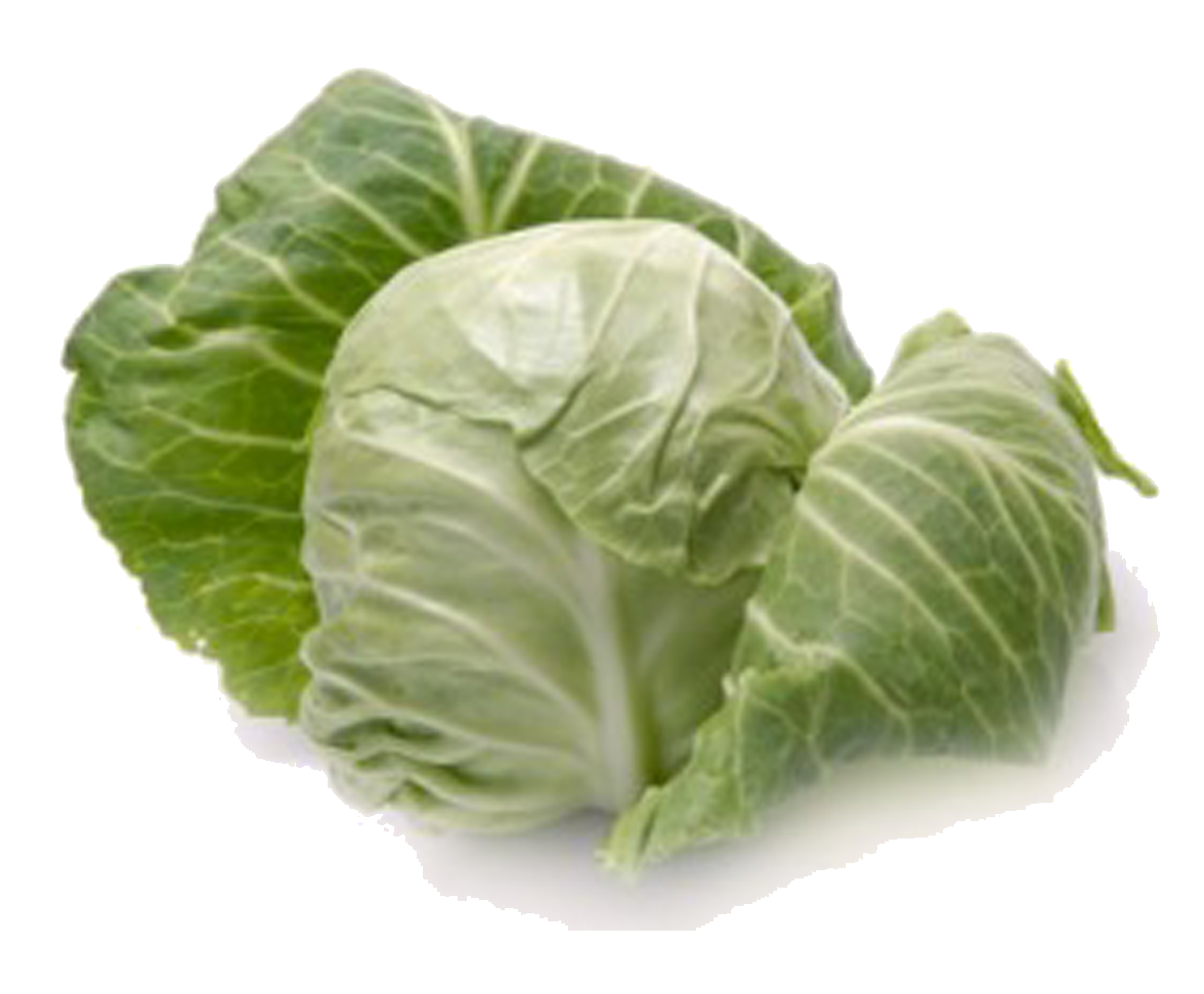 Kale Cabbage Spinach Shekels Elite PNG