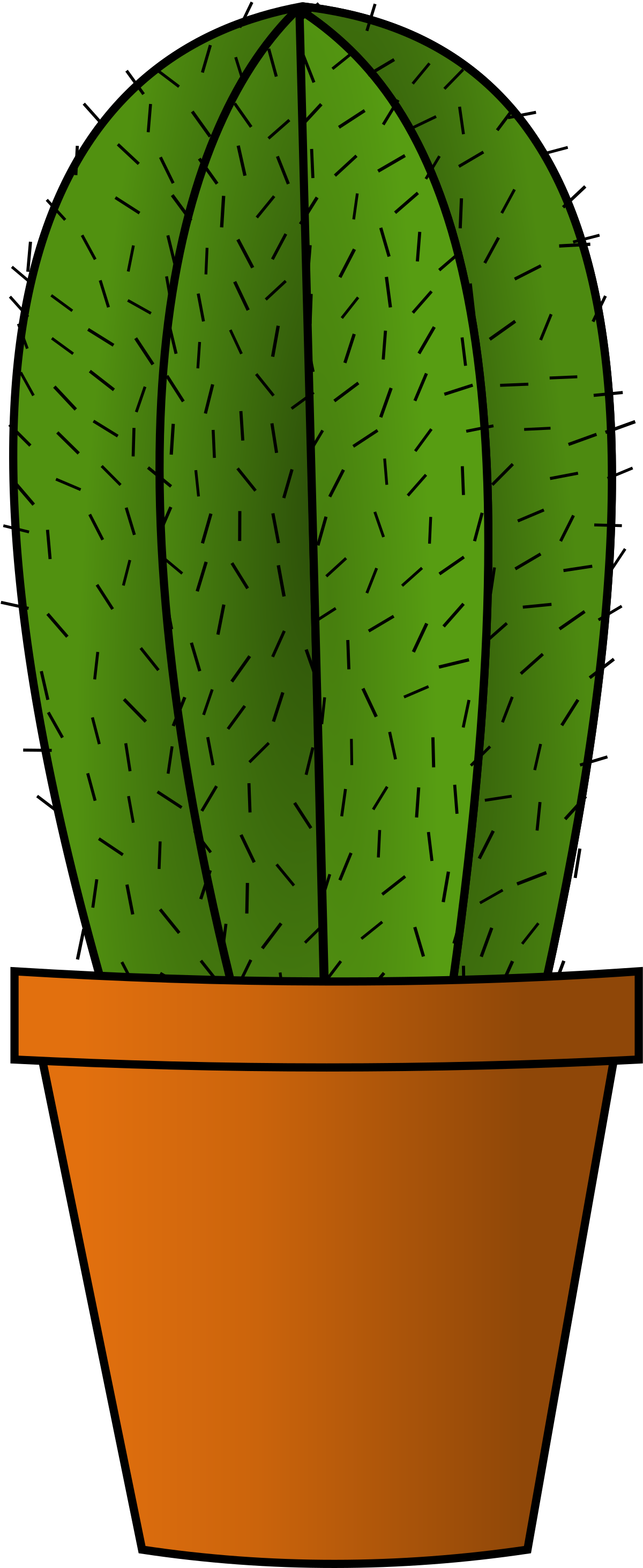 Vector Mesquite Green Aspidistra Cactus PNG