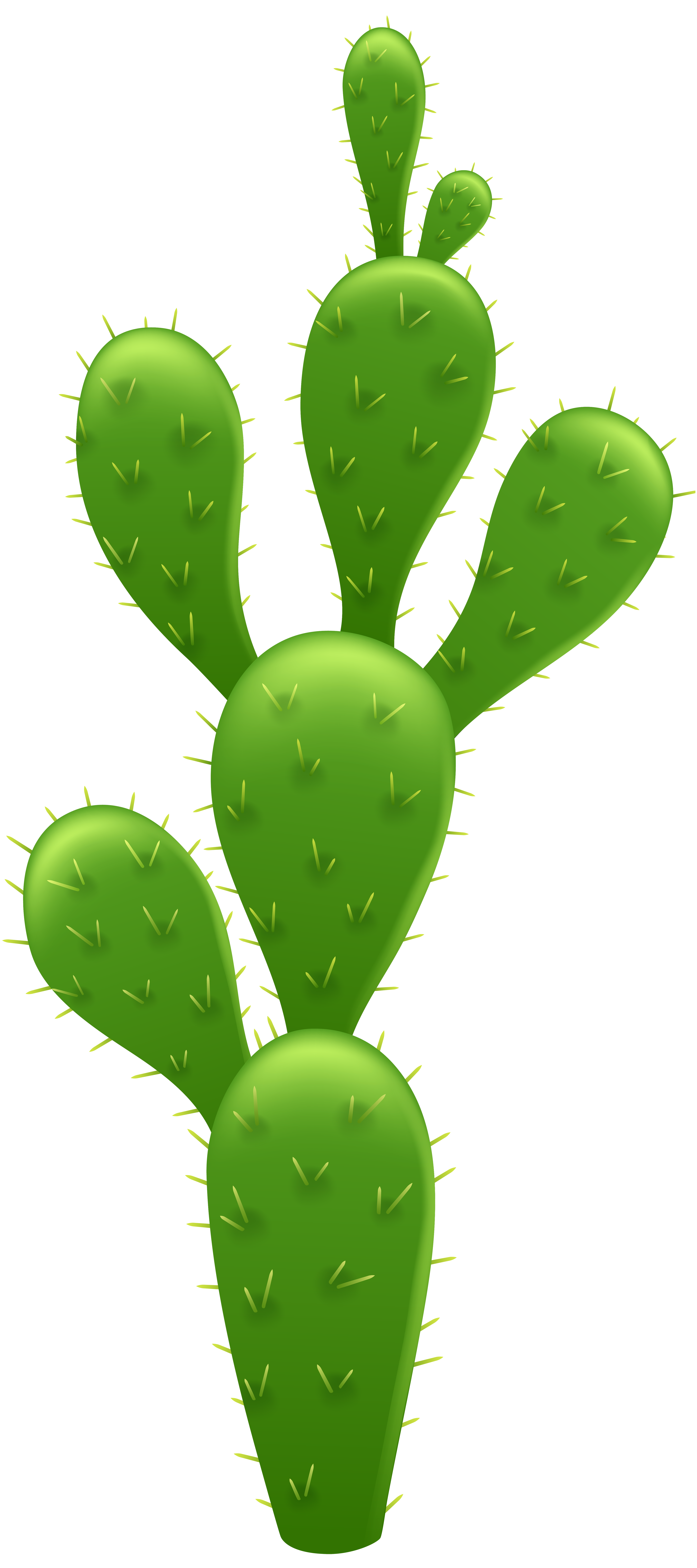 Cactus Maidenhair Prickle Nature Succulents PNG