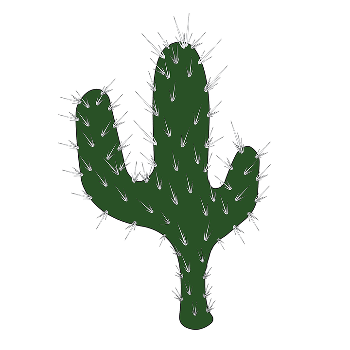 Ficus Cactus Yucca Nature Succulents PNG