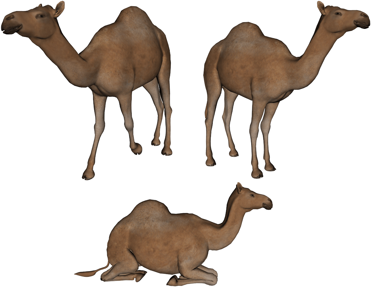 Flakes Camel Cow Burro Ostrich PNG