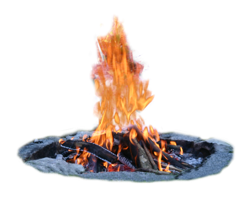 Activity Campfire Firelight Cactus PNG