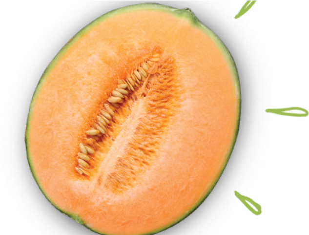 Cantaloupe Peach Pumpkin Oranges Peaches PNG