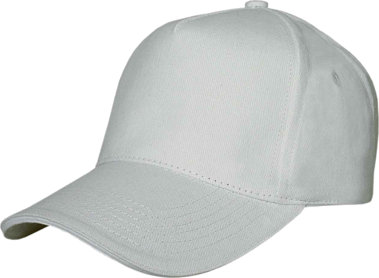 Capsule Capital Chapeau Ceilings Beanie PNG