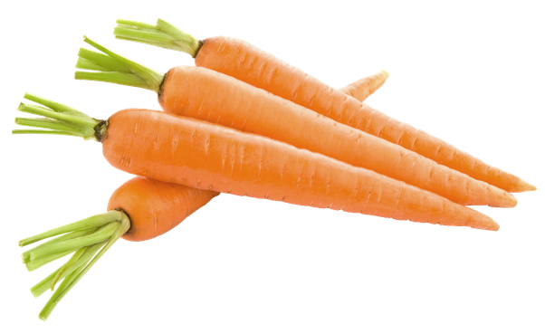Broccoli Veggie Incentive Carrot Slices PNG