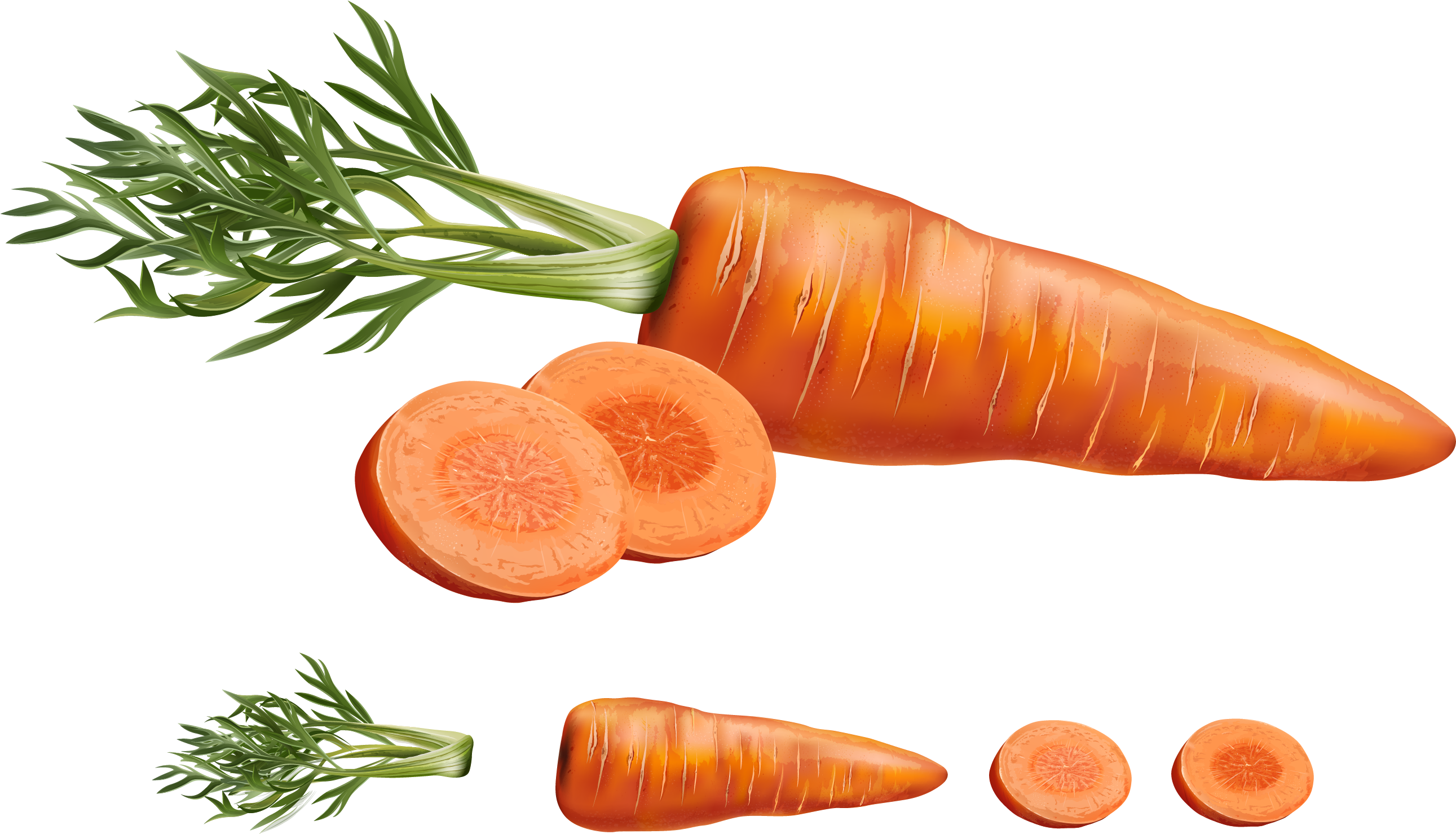 Vegetables Slice Quality Sugar Carrot PNG