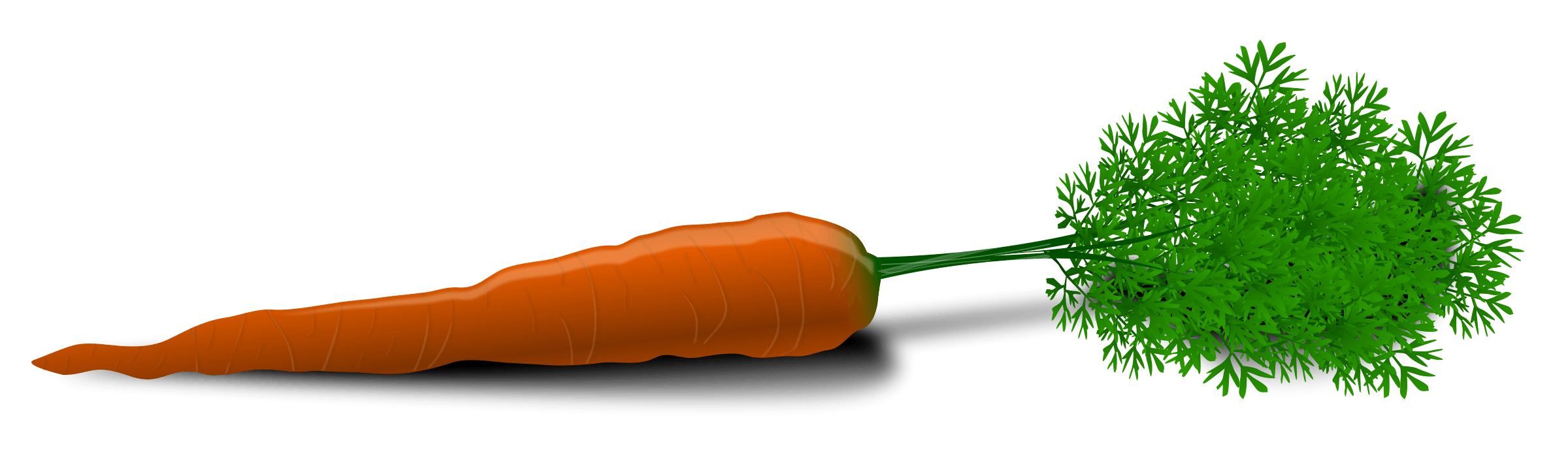 Parsnip Turnip Lifestyle Performance Celery PNG