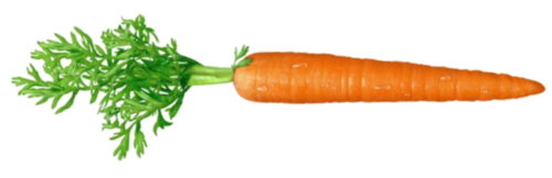 Root Bait Fats Fit Carrot PNG