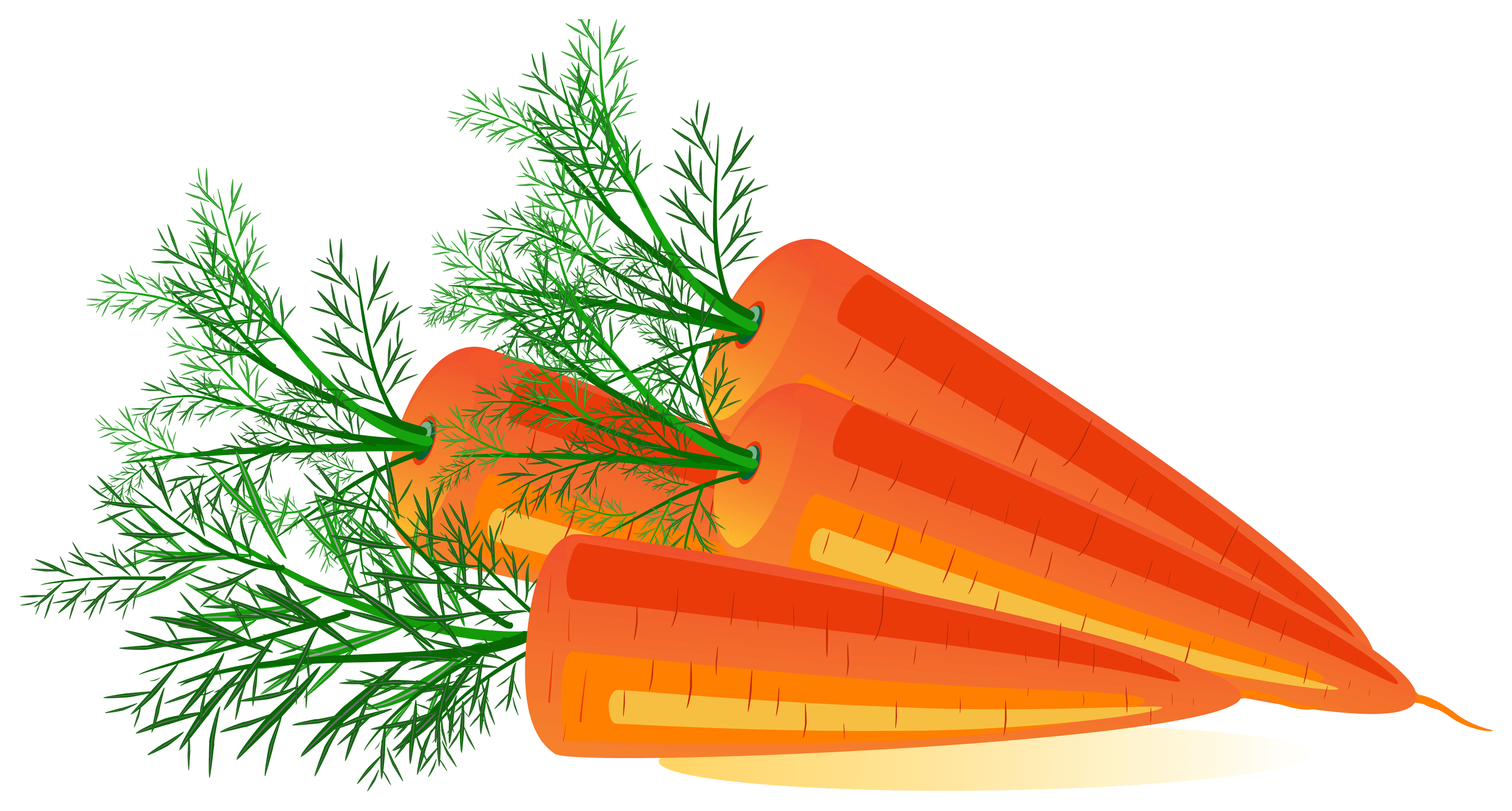 Carrot Parsley Stick Garlic Carbs PNG