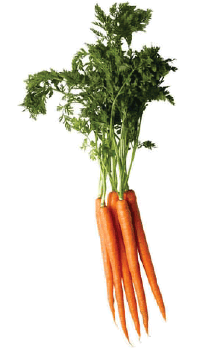 Strong Eat Carrot Broccoli Fit PNG
