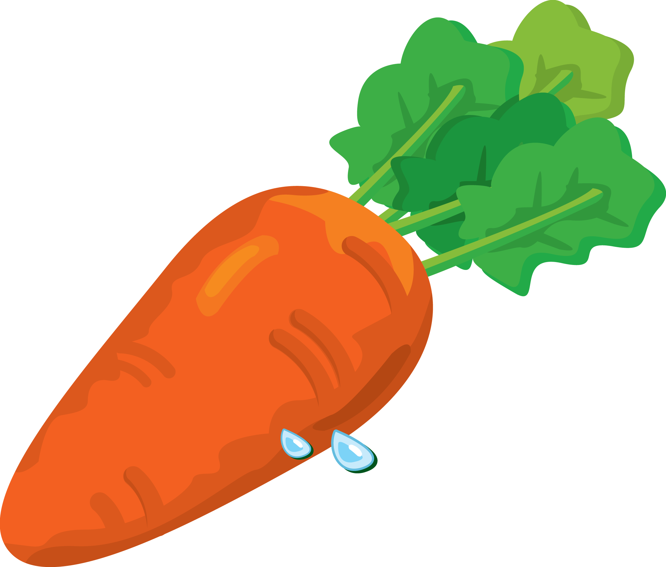 Parsley Carrot Broccoli Celery Reward PNG