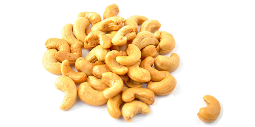 Cashew Puppy Funny Nature Fast PNG