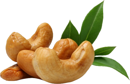 Cashew Sisal Organic Food Nut PNG