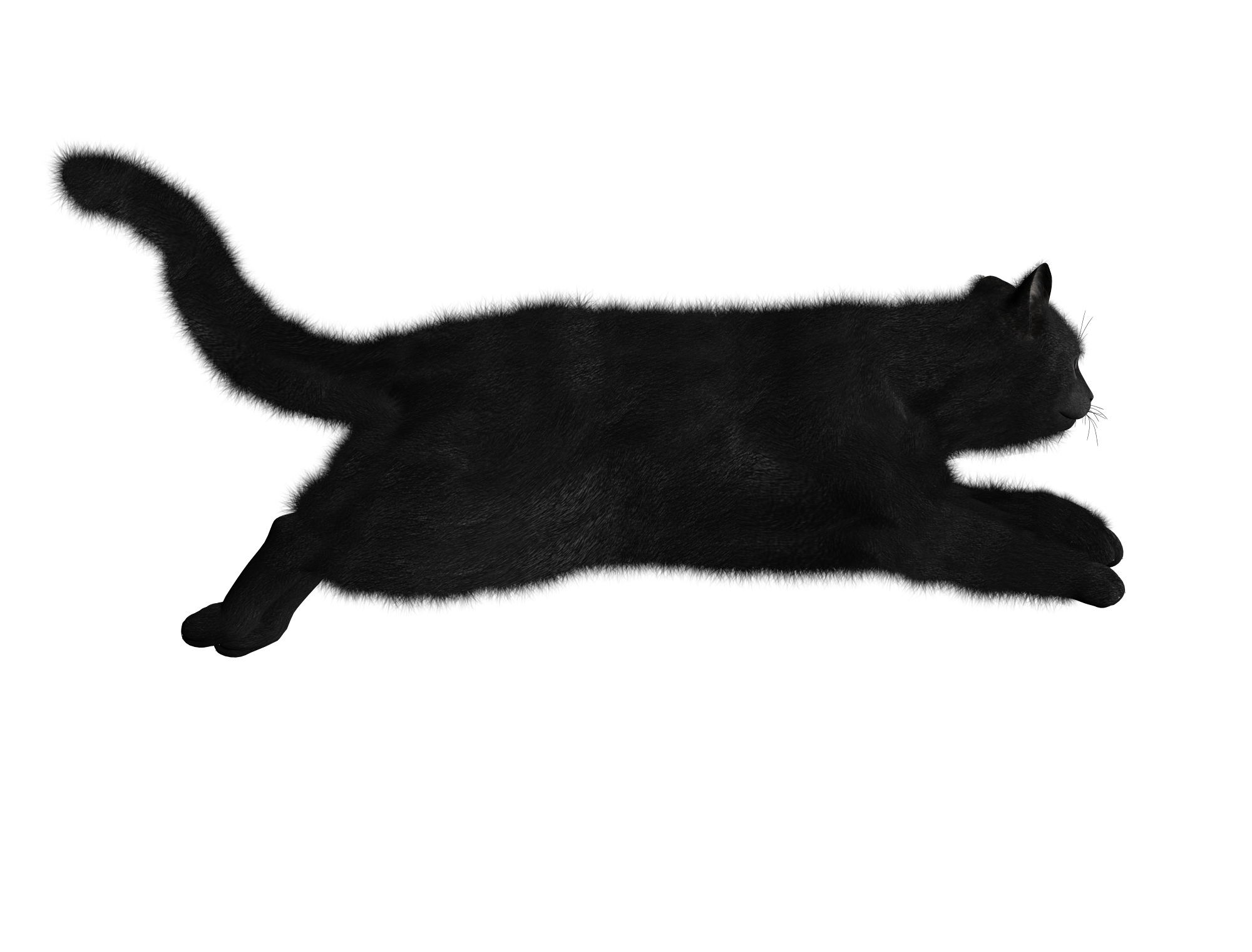 Pet Cat Upchuck Man Pets PNG