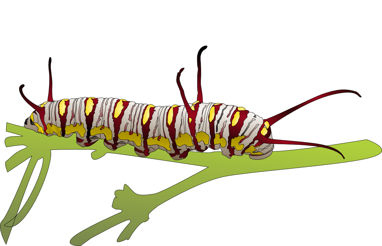 Caterpillar Moth Ant Hose Leaf PNG