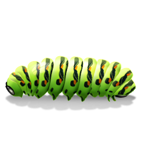 Natural Tracked Positive Caterpillar Beetle PNG