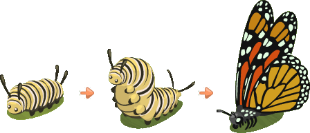 Caterpillar Ladybug Spider Silverfish Tracked PNG
