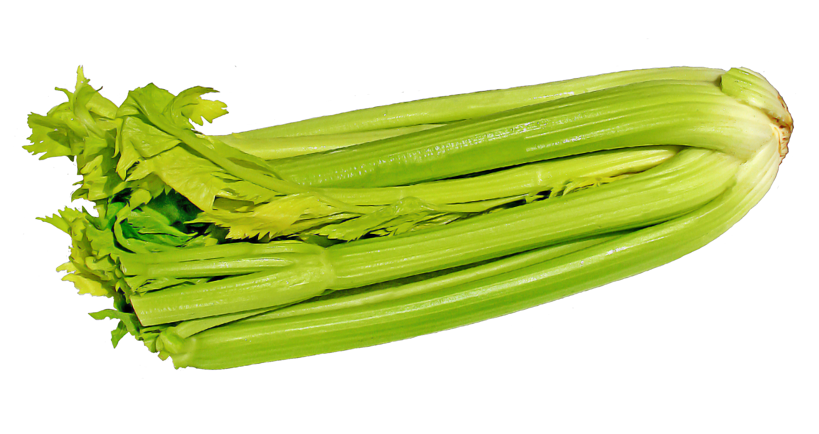 Vegetables Green Arugula Parsley Scallions PNG