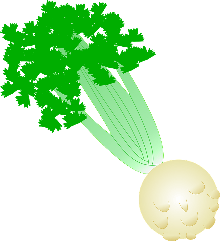 Broccoli Beets File Green Horseradish PNG