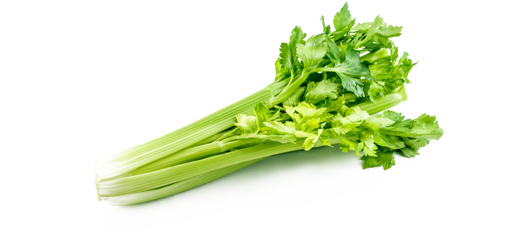 Celeriac Parsnips Peppers Celery Veggies PNG