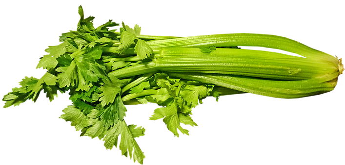 Celery Chard Chervil Sticks Vegetables PNG